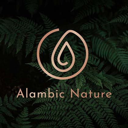 image de la version principale du logo d'Alambic Nature, naturopathe à Toulouse