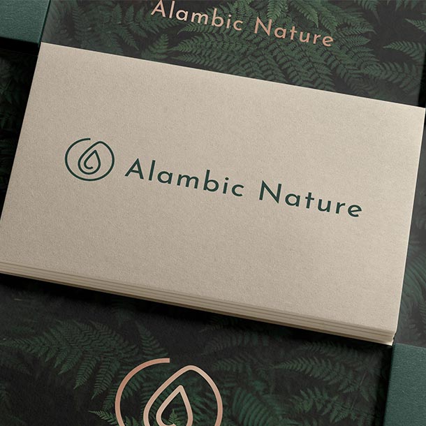 image miniature de la version horizontale du logo d'Alambic Nature, naturopathe à Toulouse